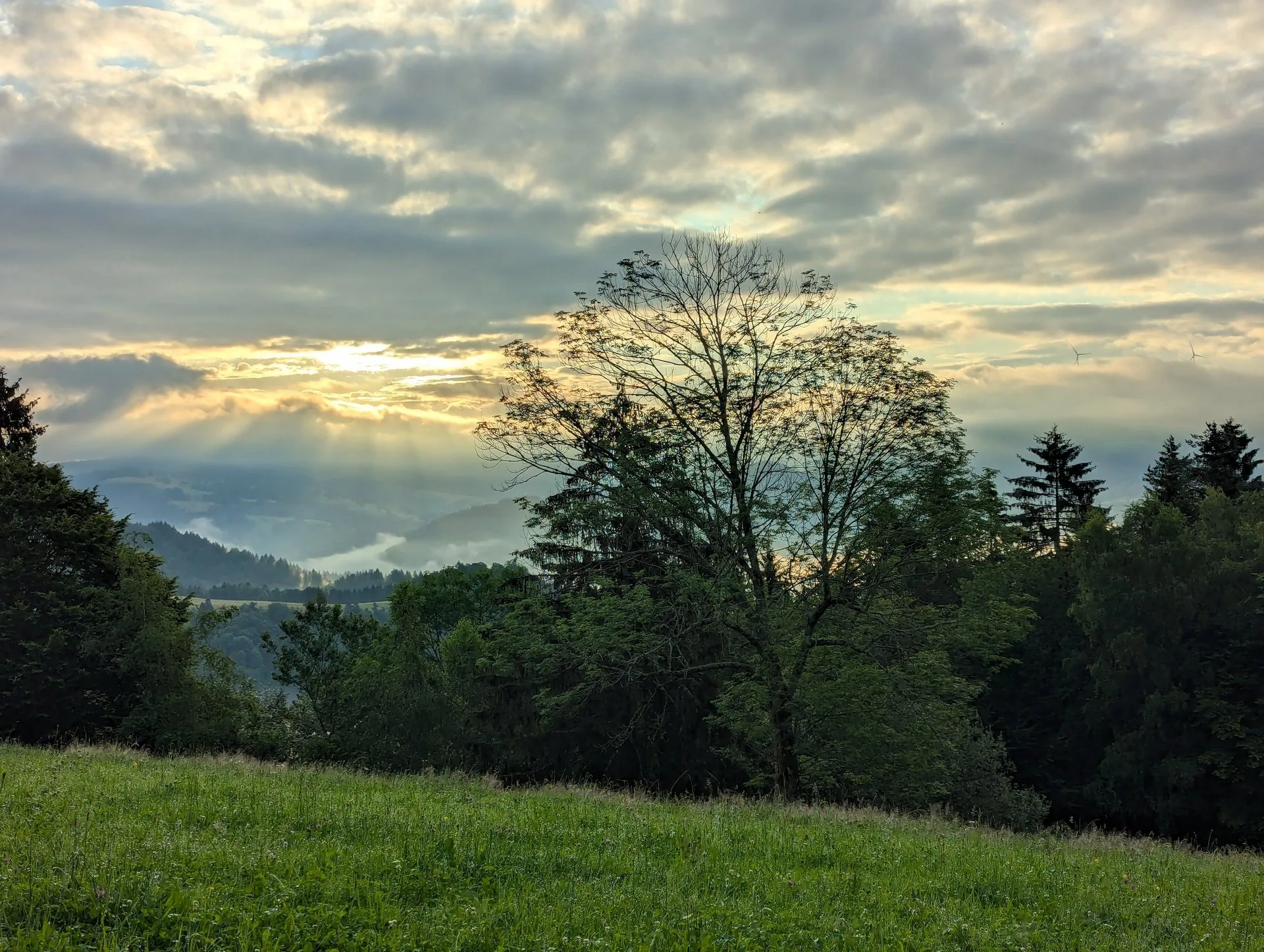 Dawn mist in the valleys below a meadow, southern Black Forest