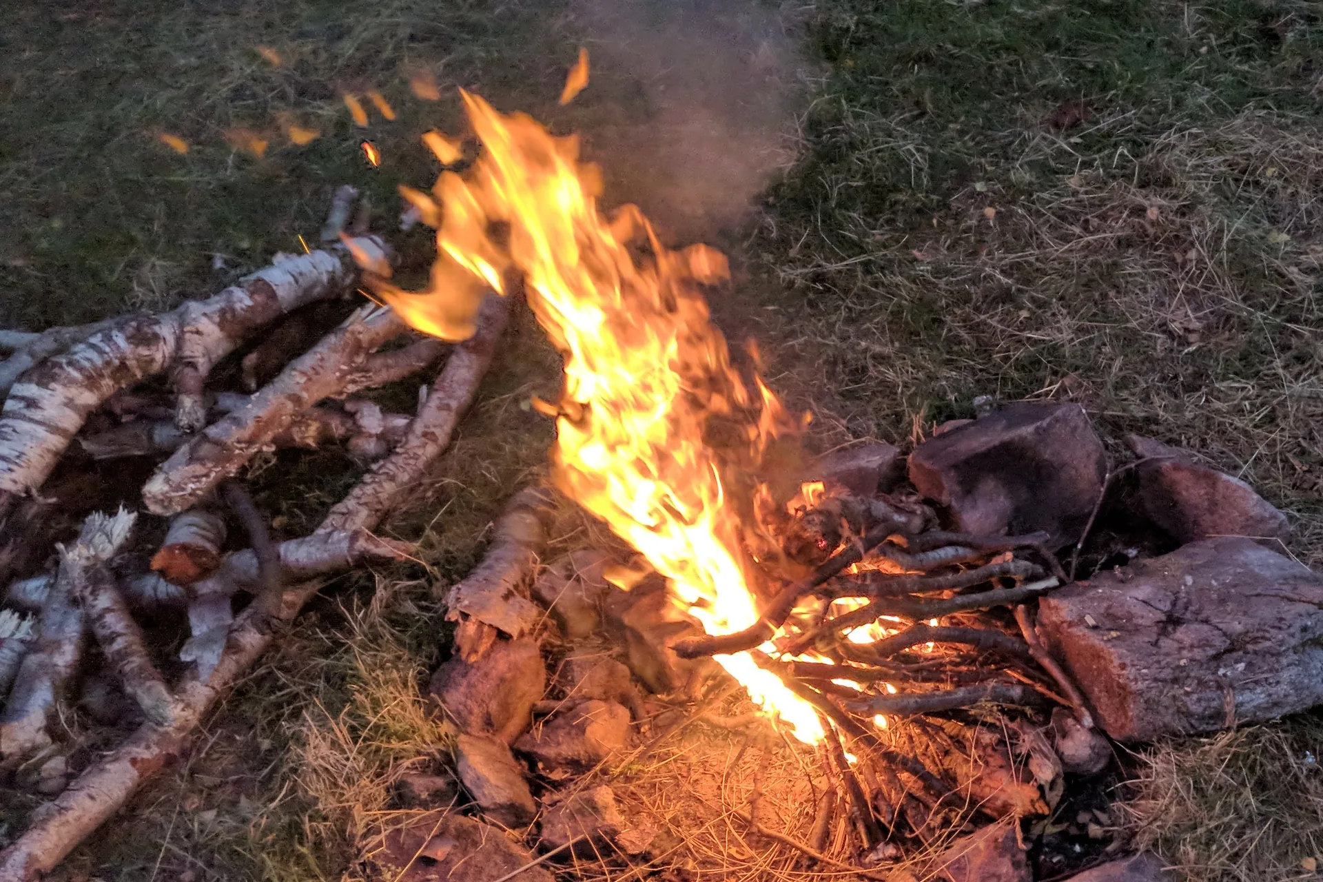 An open wood fire surrounded by stones beside stacked birch logs